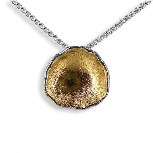Silver & Gold Organic Large Pendant